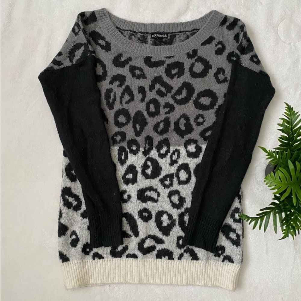 ⭐️ Express Leopard Print Sweater XS